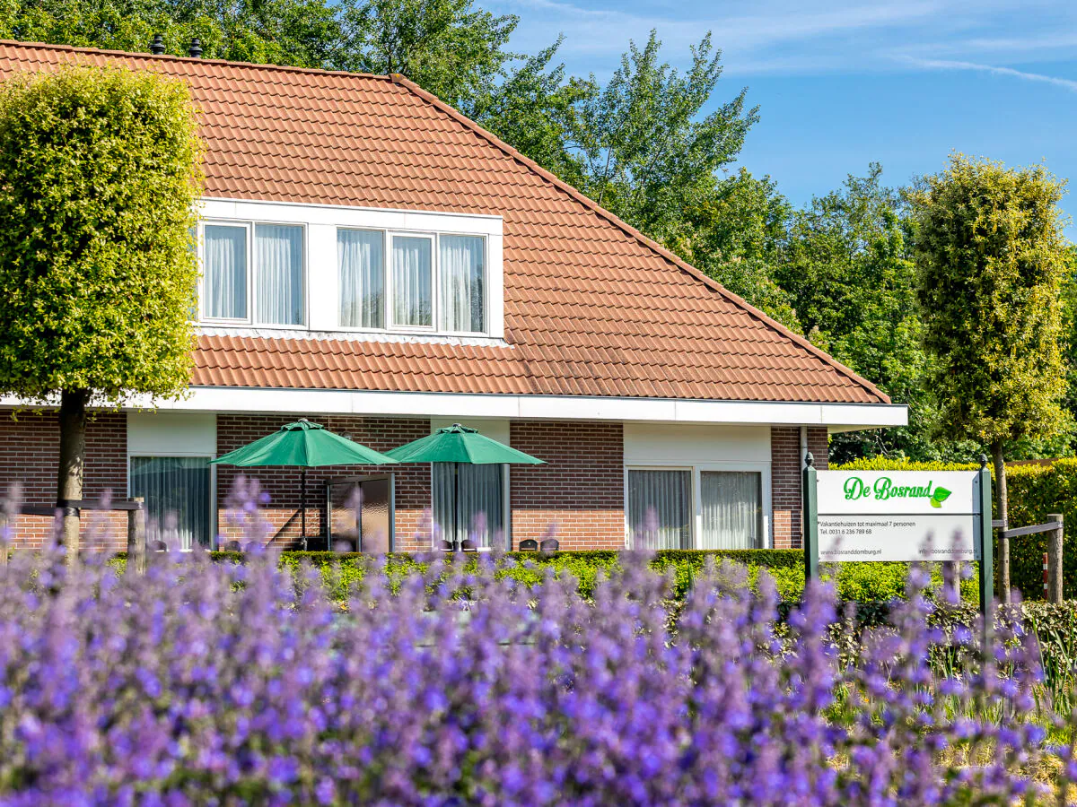 Holiday apartment Bosrand Domburg - Outdoor photo 2