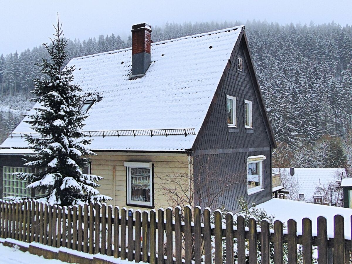 Apartment Wald-Ferienwohnung in Wildemann
