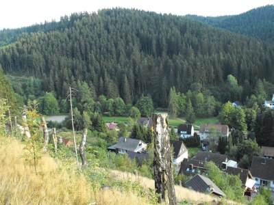 Apartment Wald-Ferienwohnung in Wildemann - Environment photo 26