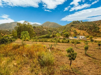 Holiday house Family Villa in Costa del Sol - Environment photo 34