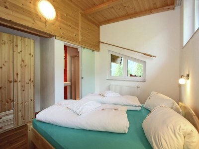Apartment Apartment in Fügenberg near Ski Slopes - Features photo 12