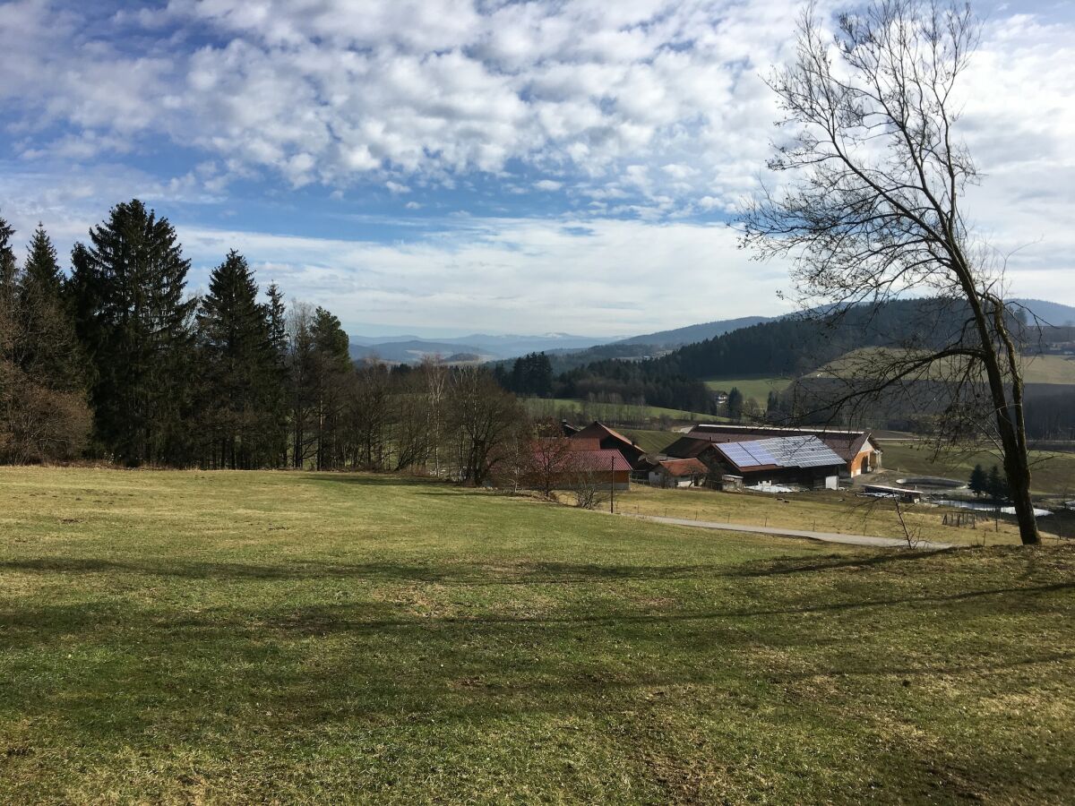 Holiday house Ferienhaus in Konzell mit Terrasse - Outdoor photo 4