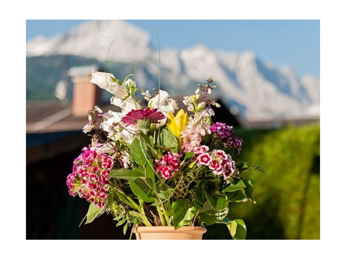 Holiday apartment Biersack Toni - Outdoor photo 2