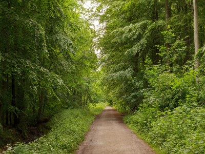 Bungalow 15 am Gespensterwald - Environment photo 11