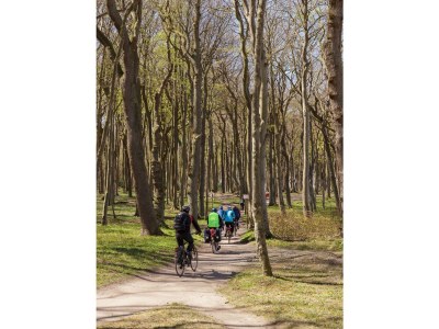 Bungalow 15 am Gespensterwald - Environment photo 12