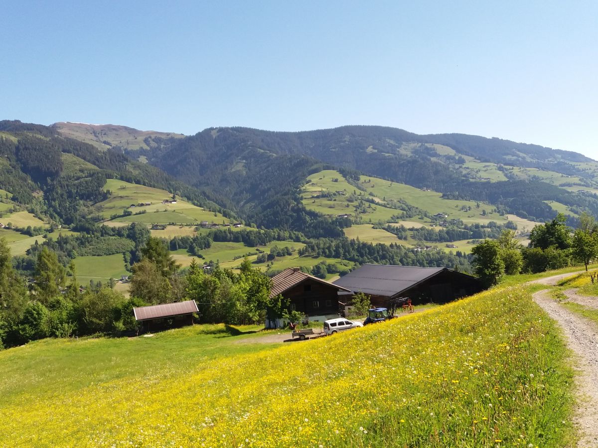 Alpine hut Schernthaner - Outdoor photo 5