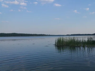 Holiday apartment Werder Havel - Environment photo 23
