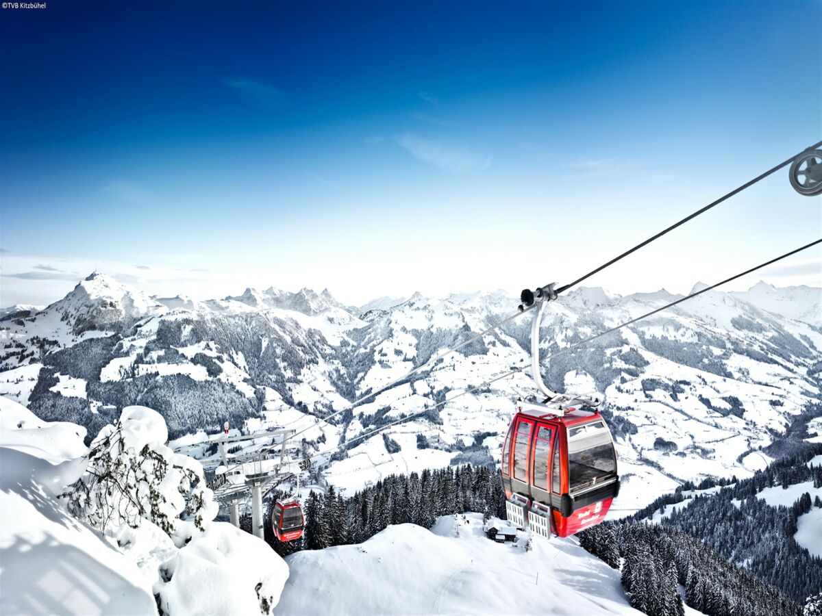 Apartment Wohnung in Kirchberg beim Skibus