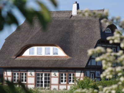 Holiday house Rügen Cottage - Outdoor photo 2