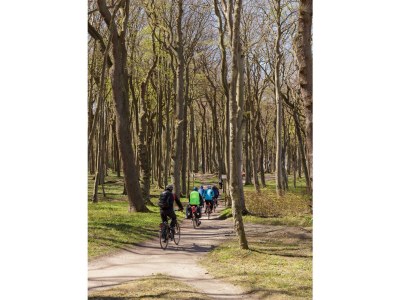 Bungalow 16 am Gespensterwald - Environment photo 13