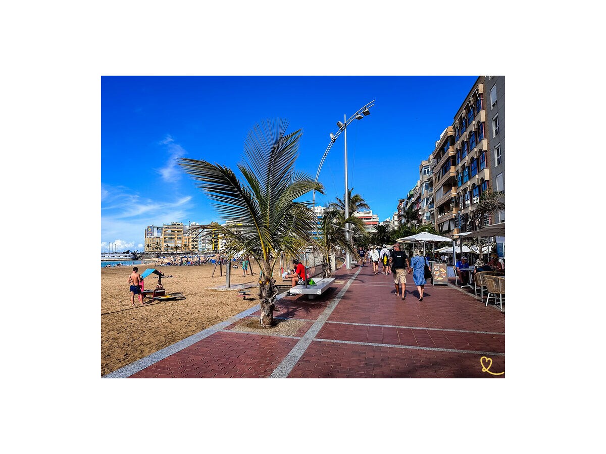 Holiday apartment Canarias excursions