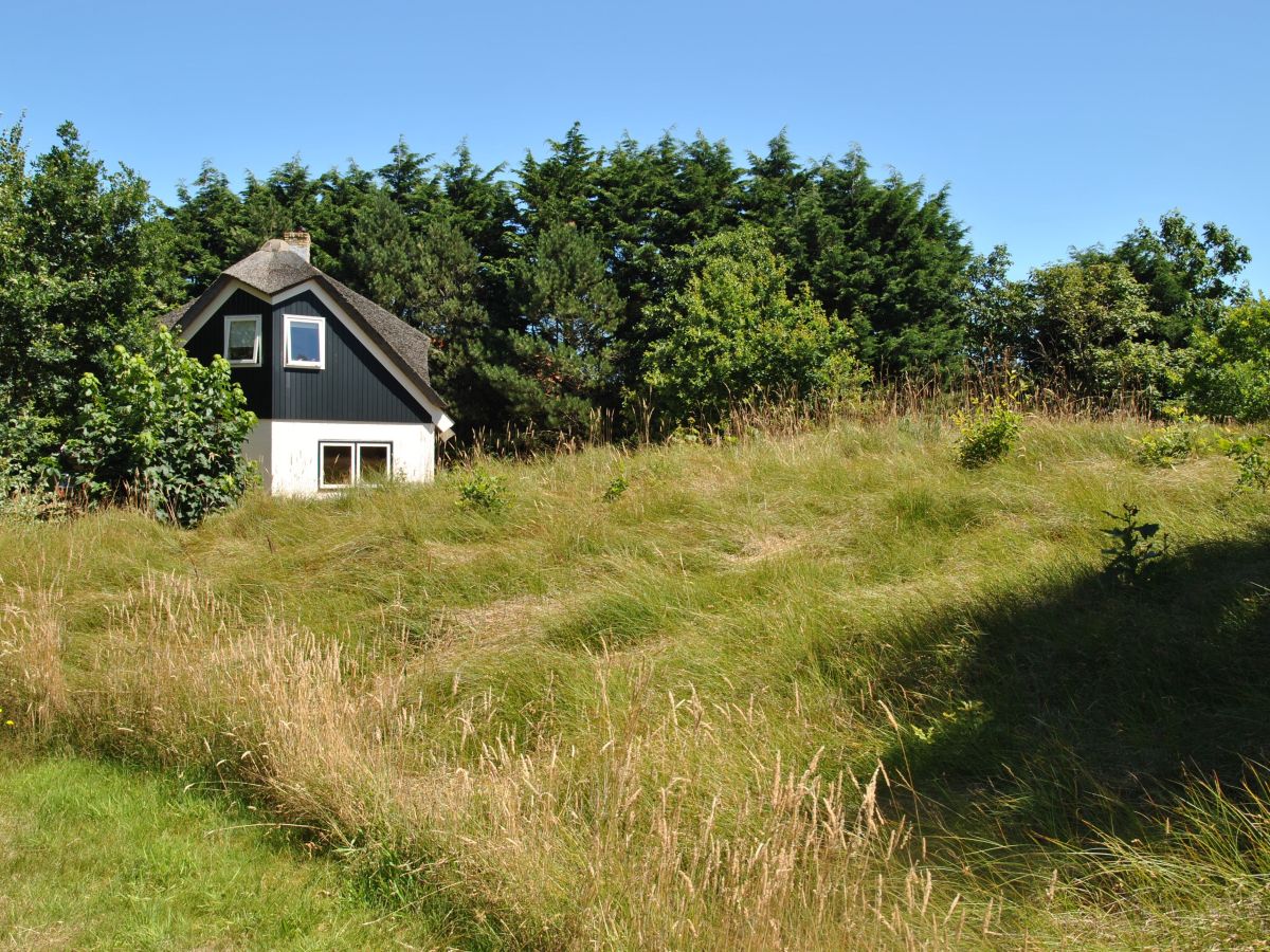 Holiday house De Bosuil - Outdoor photo 3
