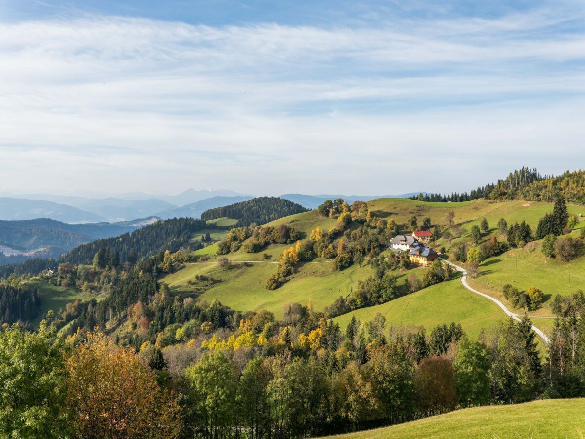 Holiday house Chalet in Eberstein nahe Saualpe Skigebiet - Outdoor photo 5