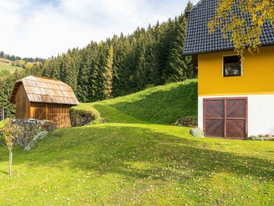Holiday house Chalet in Eberstein nahe Saualpe Skigebiet - Outdoor photo 3