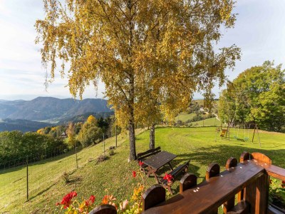 Holiday house Chalet in Eberstein nahe Saualpe Skigebiet - Outdoor photo 9