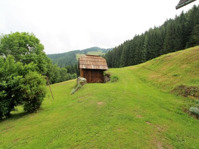 Holiday house Chalet in Eberstein nahe Saualpe Skigebiet - Environment photo 38