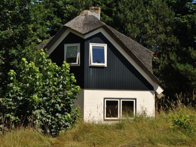 Holiday house De Velduil in De Cocksdorp - Holiday house