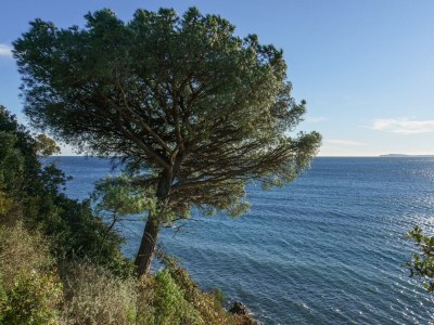 Villa Coeur Valmer - Environment photo 32
