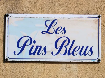 Apartment Apartment les Pins Bleus A8 - Document photo 20