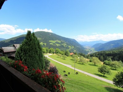 Apartment Wohnung in Afritz nahe Skigebieten - Outdoor photo 13