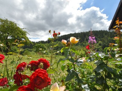 Holiday house Charmantes Ferienhaus in Deifeld - Outdoor photo 9