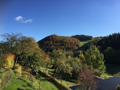 Holiday house Charmantes Ferienhaus in Deifeld - Outdoor photo 11