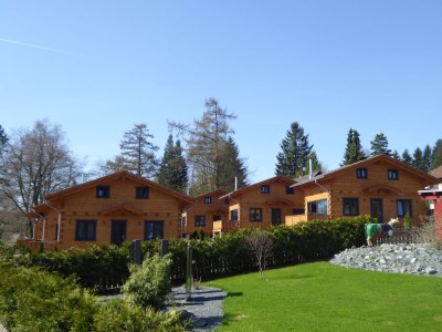Holiday house 5-star log cabin Harmonie Cabin Holiday home - Features photo 17