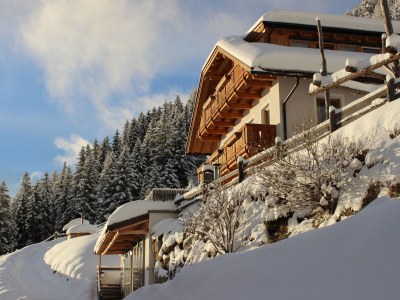 Chalet Mountain Lodge Oberplantal - Outdoor photo 3