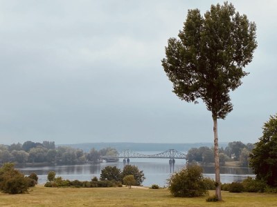 Holiday apartment Villa Babelsberg - Environment photo 25