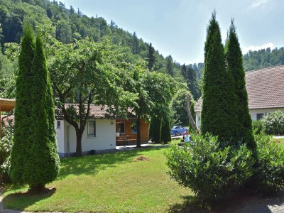 Apartment Gemütliche tierfreundliche Wohnung in Huddingen - Outdoor photo 5