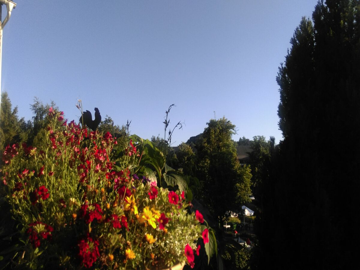 Apartment Wohnung im 1. Stock bei Willingen - Outdoor photo 2
