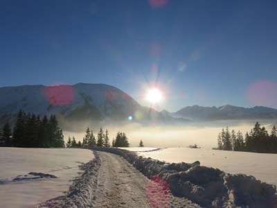 Apartment Sonn-Alm Studio 30 sqm - Environment photo 24