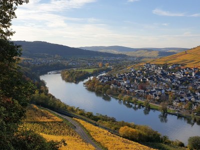 Holiday house Fachwerkhaus mit Charme - Environment photo 24