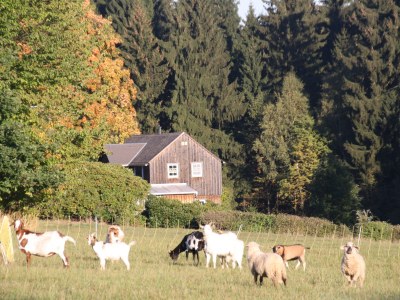 Holiday house at Holiday farm Zollfrank - Outdoor photo 8