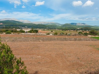 Villa Son Sabater (Es Moli Nou) - Environment photo 46
