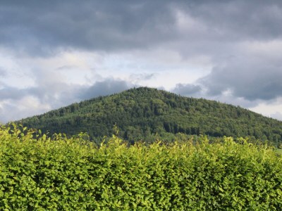 Holiday apartment Haus Staffelberg App.802 - Outdoor photo 14