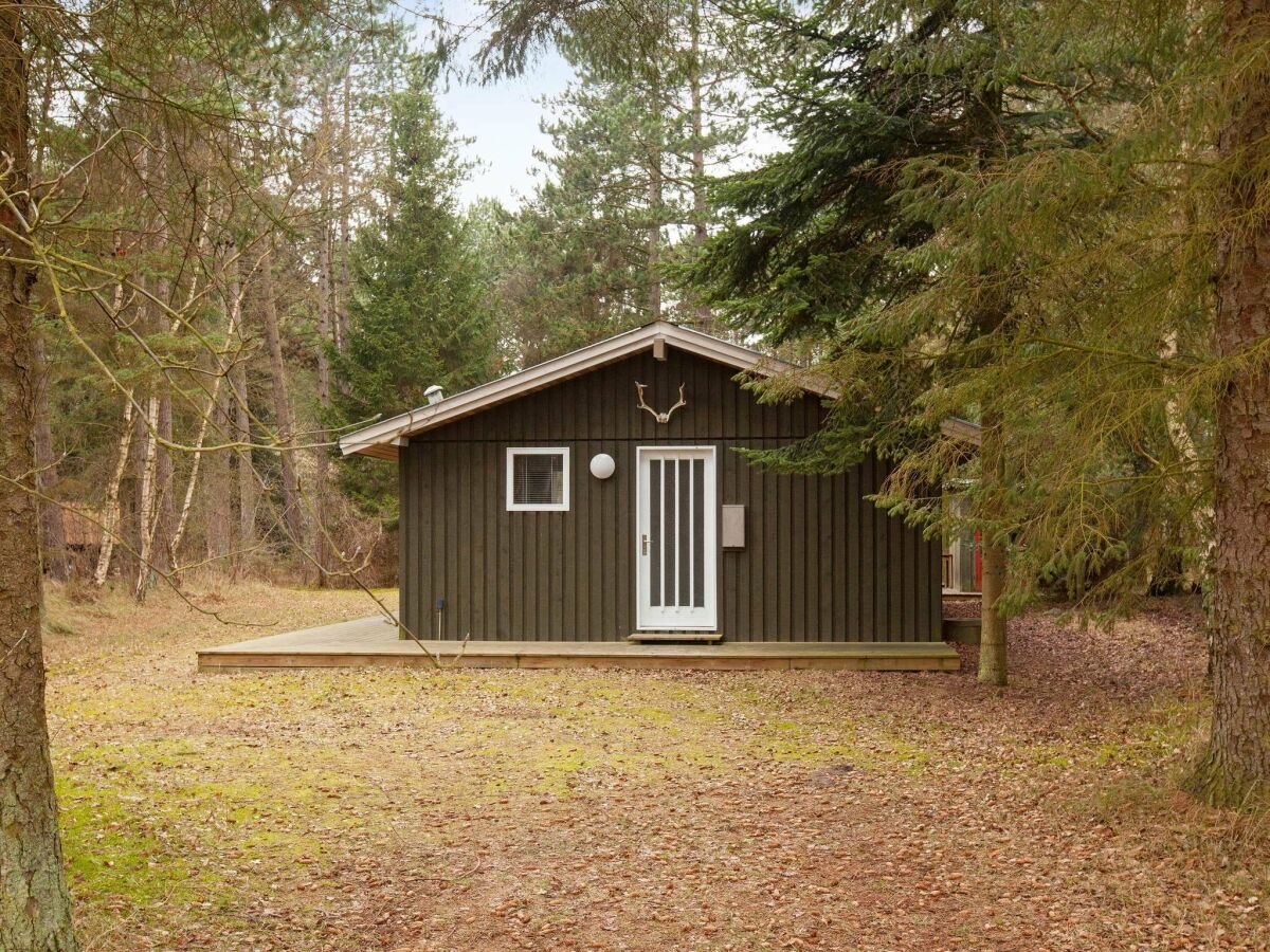 Holiday house 6 person holiday home in Store Fuglede-By Traum - Outdoor photo 2