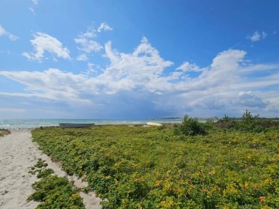 Holiday house Seaside Bliss in Aarhus - By Traum Ferienwohnungen - Outdoor photo 24
