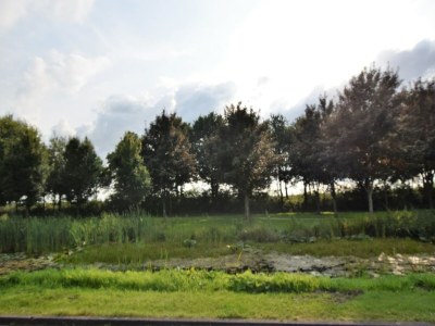 Holiday house Cottage near Bourtange with Hot Tub - Environment photo 29