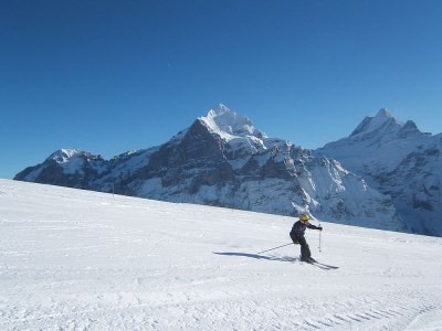 Apartment Chalet in the Swiss alps - Environment photo 26