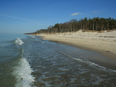 Holiday apartment Ostseebrise - Environment photo 15