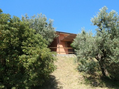 Holiday house Pet-Friendly Getaway, Castagneto Carducci - Outdoor photo 10