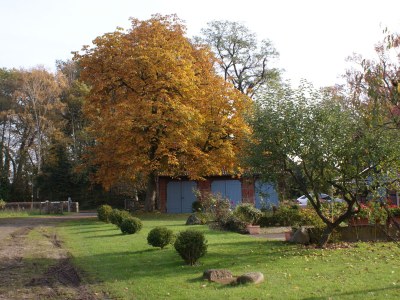 Holiday apartment Krischanshof ***** - Outdoor photo 11