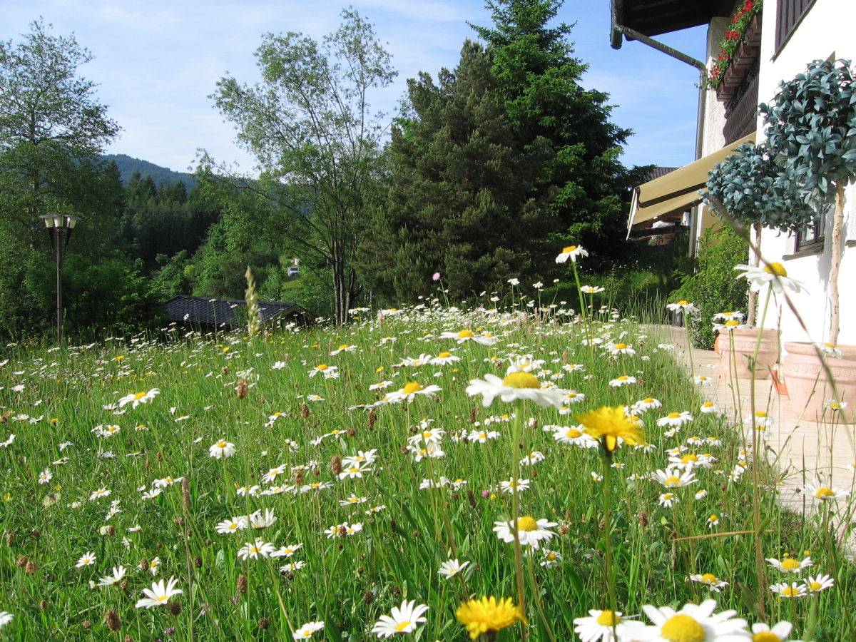 Holiday apartment Haus Auerhahn - Outdoor photo 4