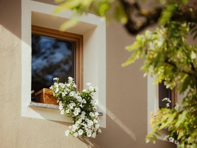 Holiday apartment Primula - Outdoor photo 6