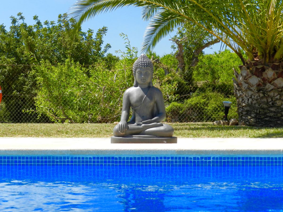 Finca Mansion Ses Oliveres - Outdoor photo 5