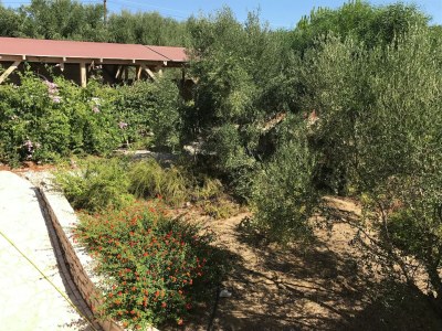 Villa Luxurious Villa in Peloponnese - Outdoor photo 19
