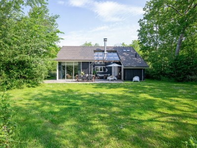 Holiday house Vuurcoogh in De Koog - Holiday house