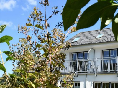 Apartment Graal-Müritz Garden Balcony Stay - Outdoor photo 2