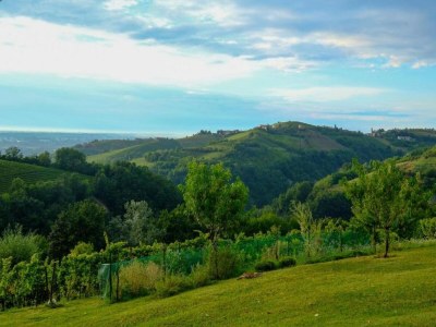 Cottage Studio in Bastia Mondovì with Pool and Winery - Environment photo 27